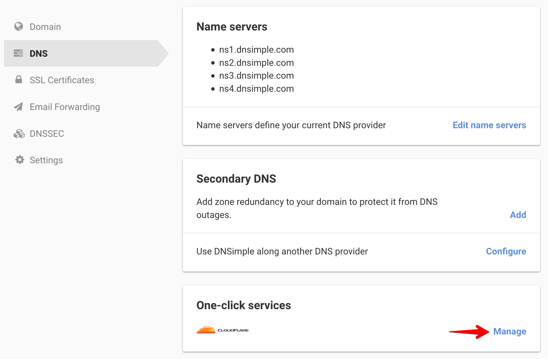Domain DNS page